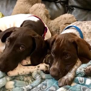 Meet your Posher, Mary beth